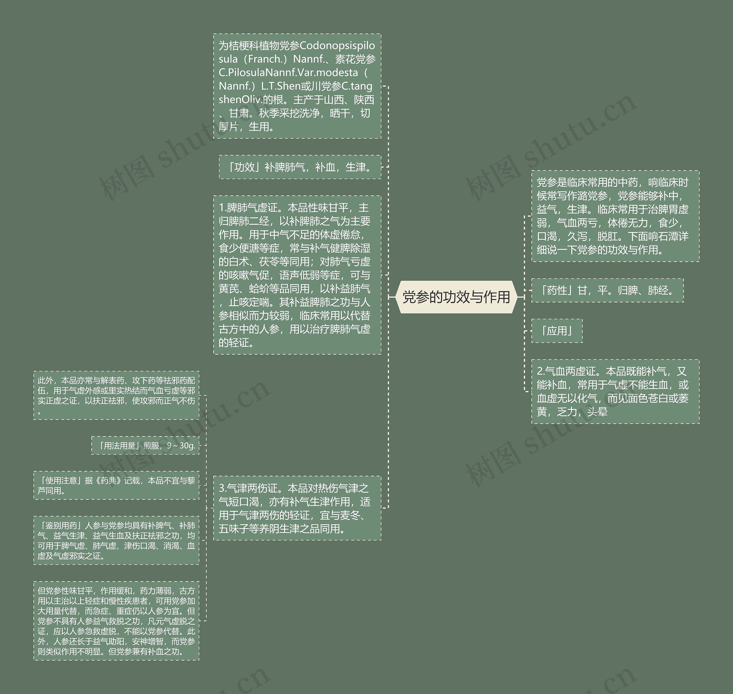 党参的功效与作用