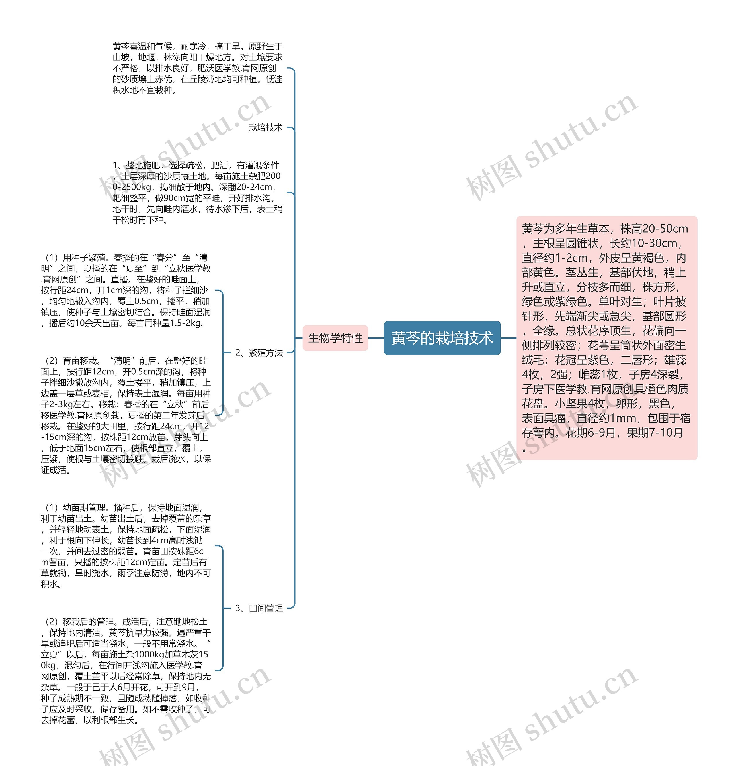 黄芩的栽培技术思维导图