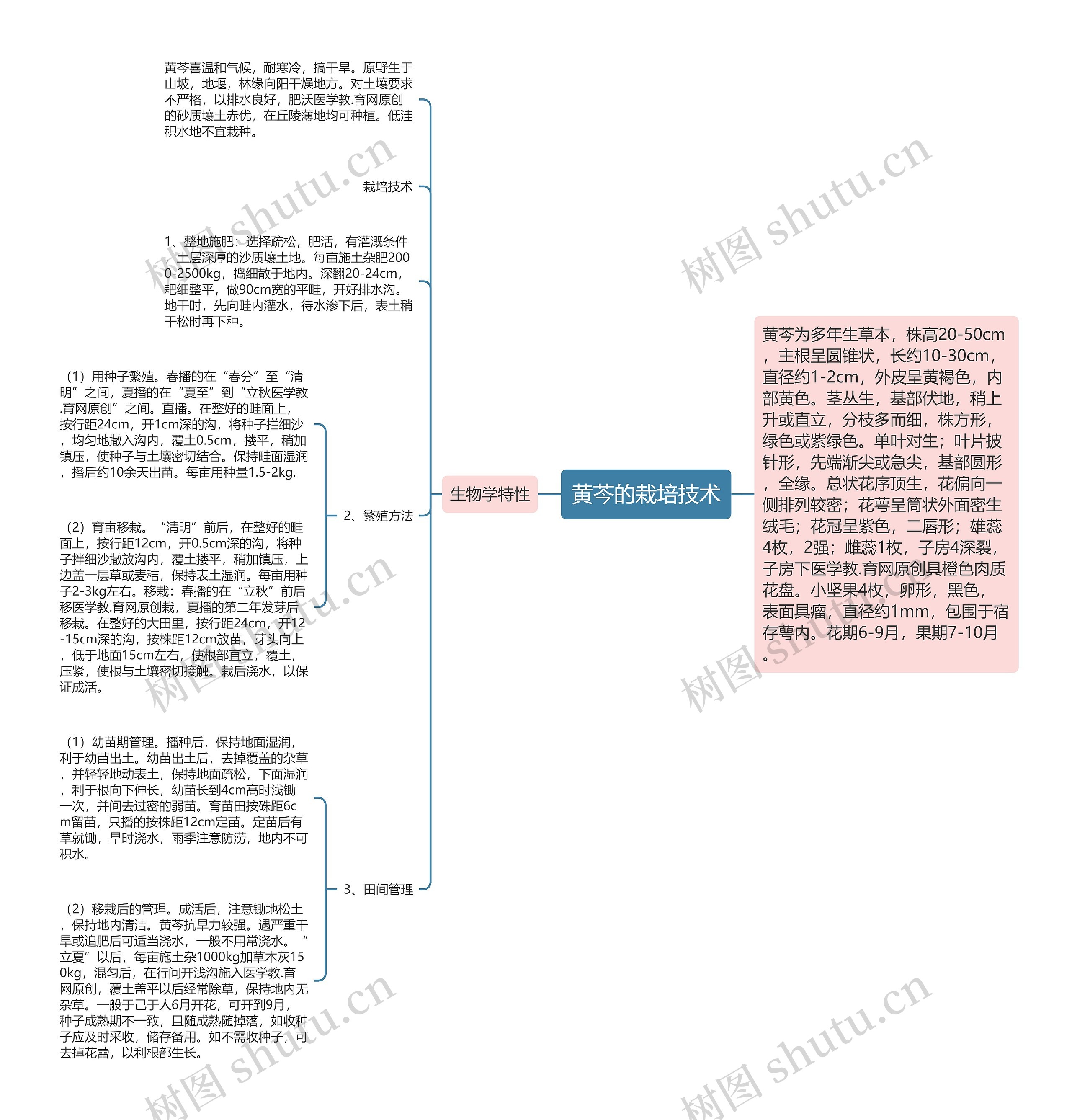 黄芩的栽培技术 黄芩的栽培技术