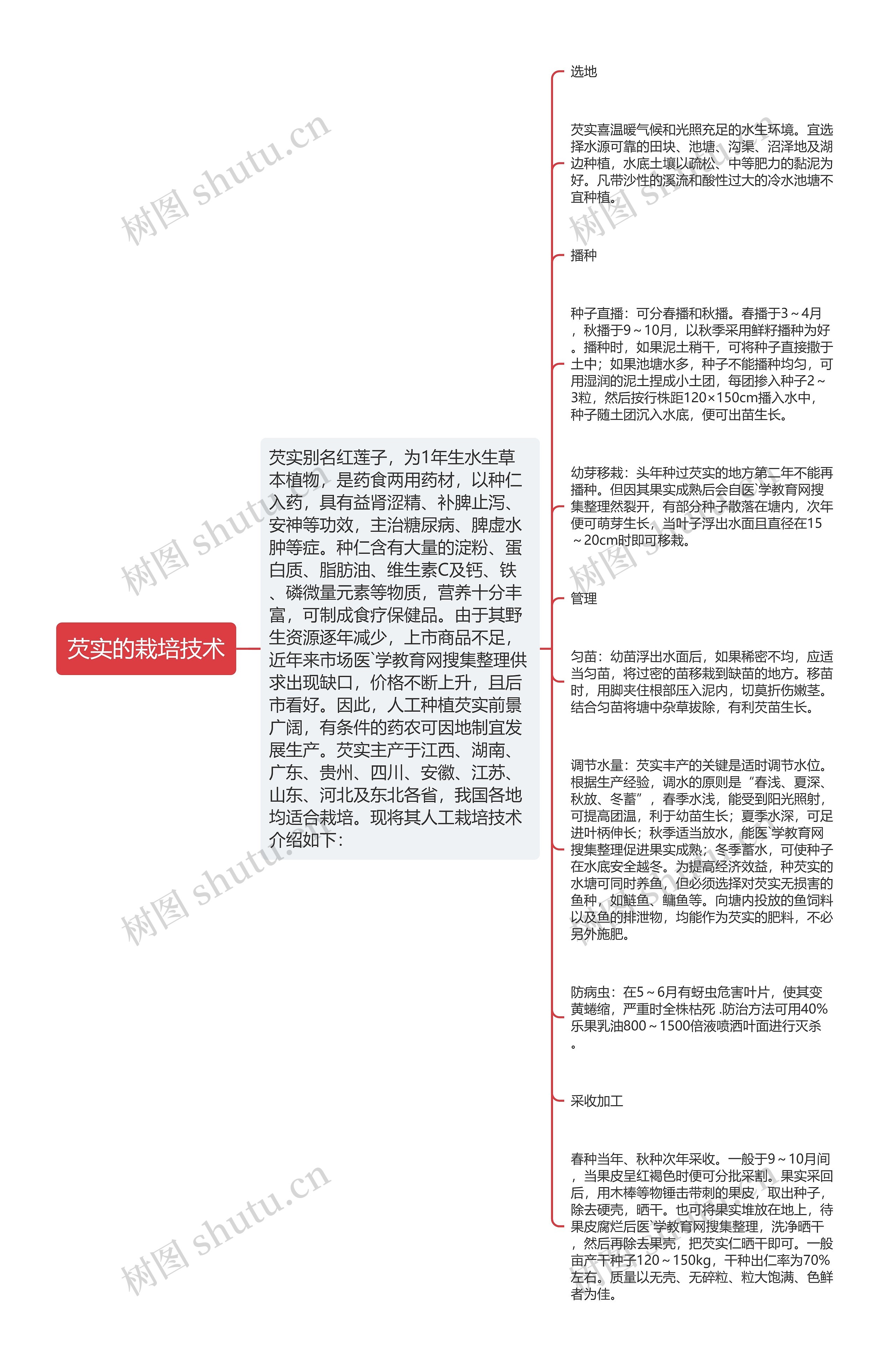 芡实的栽培技术思维导图