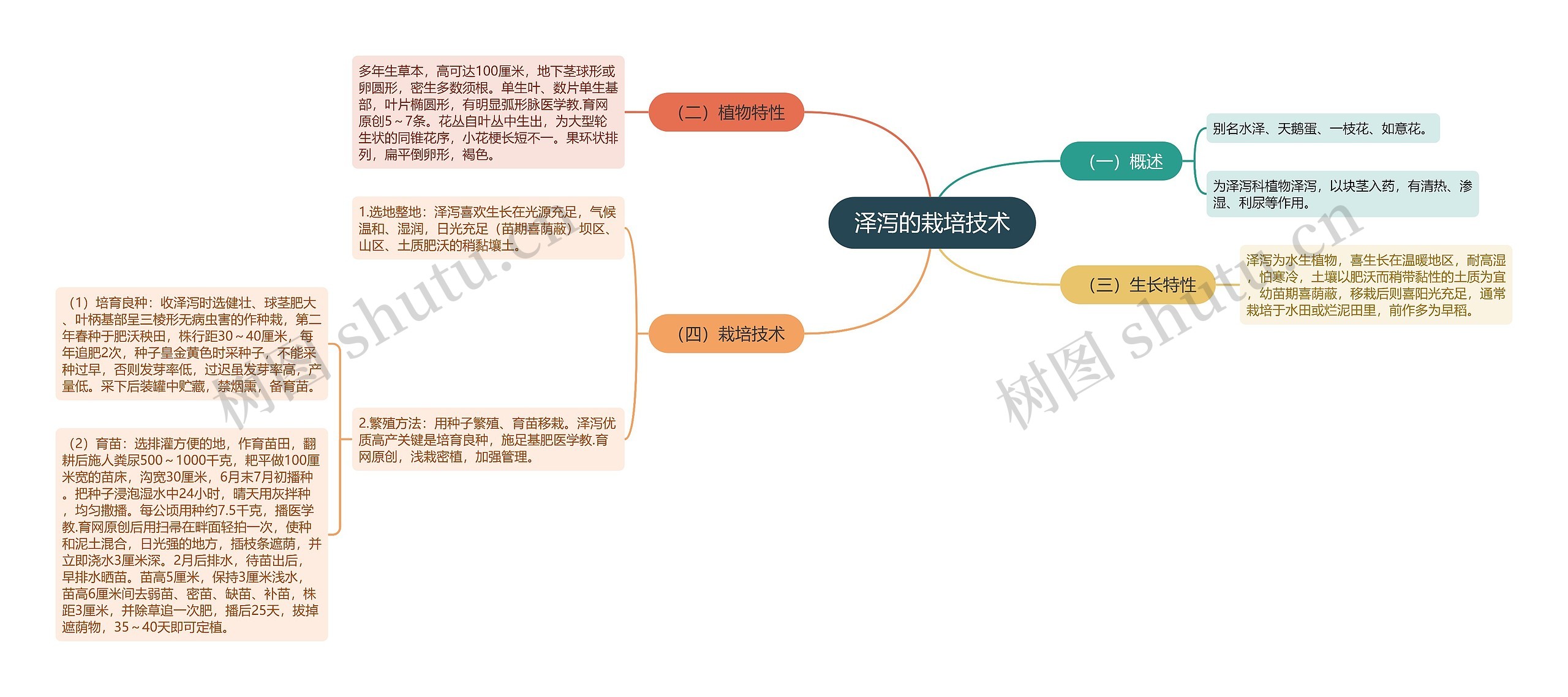 泽泻的栽培技术思维导图