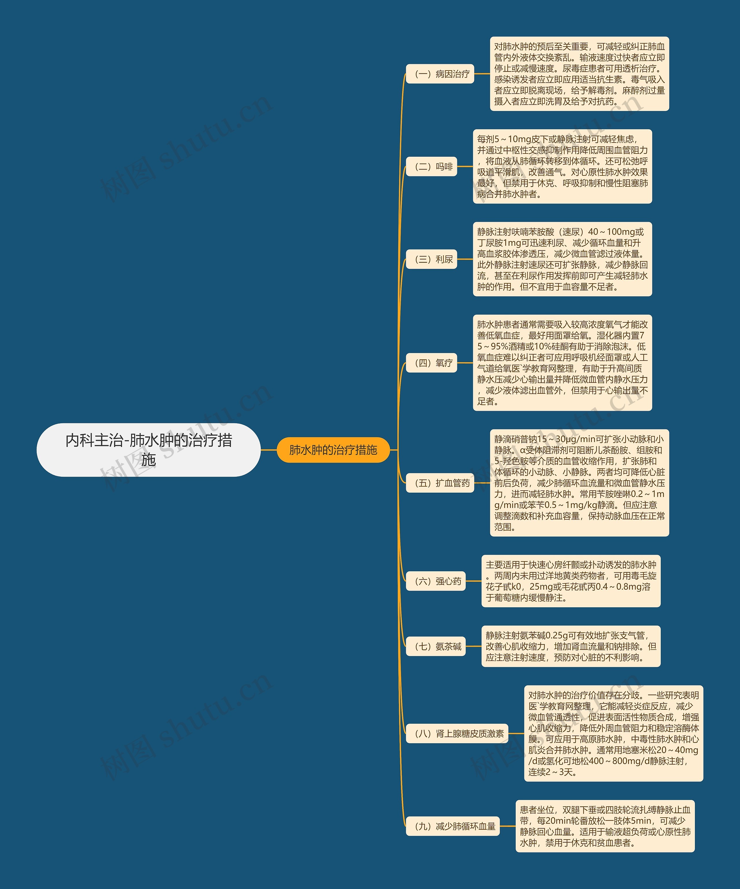 内科主治-肺水肿的治疗措施思维导图