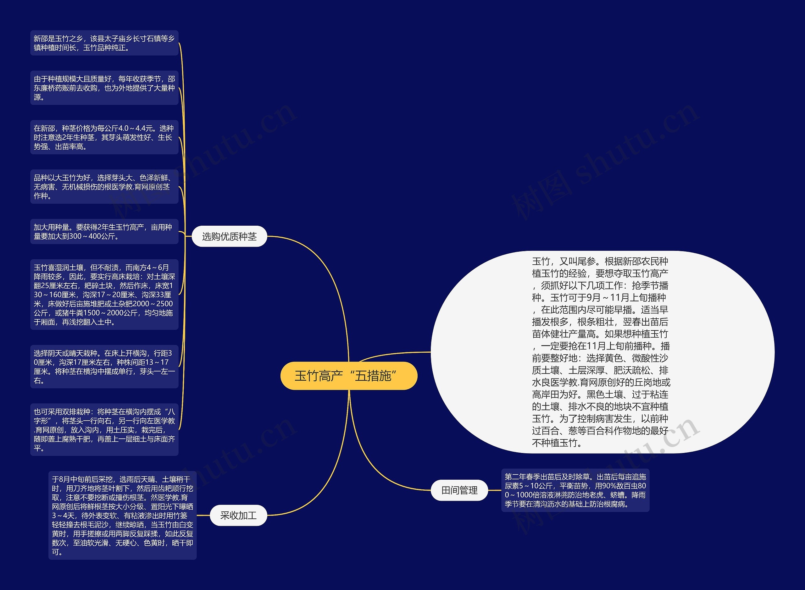 玉竹高产“五措施”