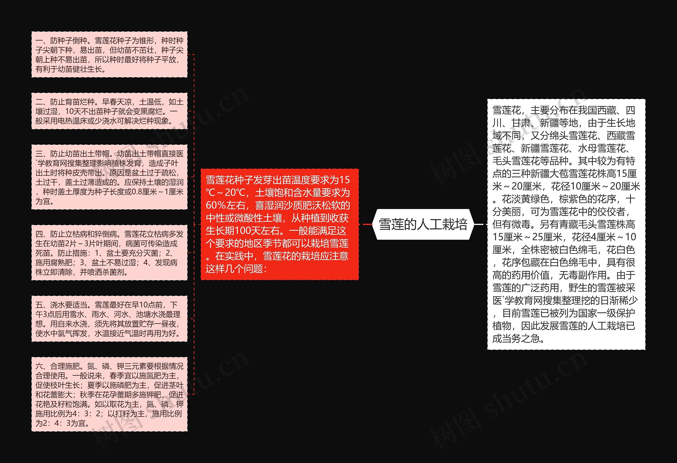 雪莲的人工栽培 雪莲的人工栽培