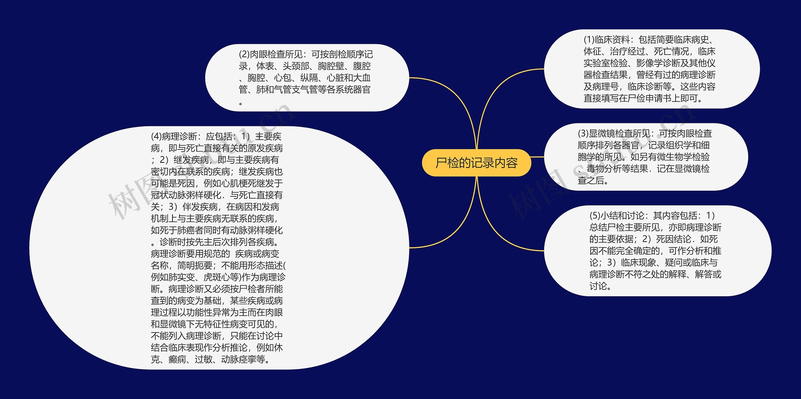 尸检的记录内容思维导图