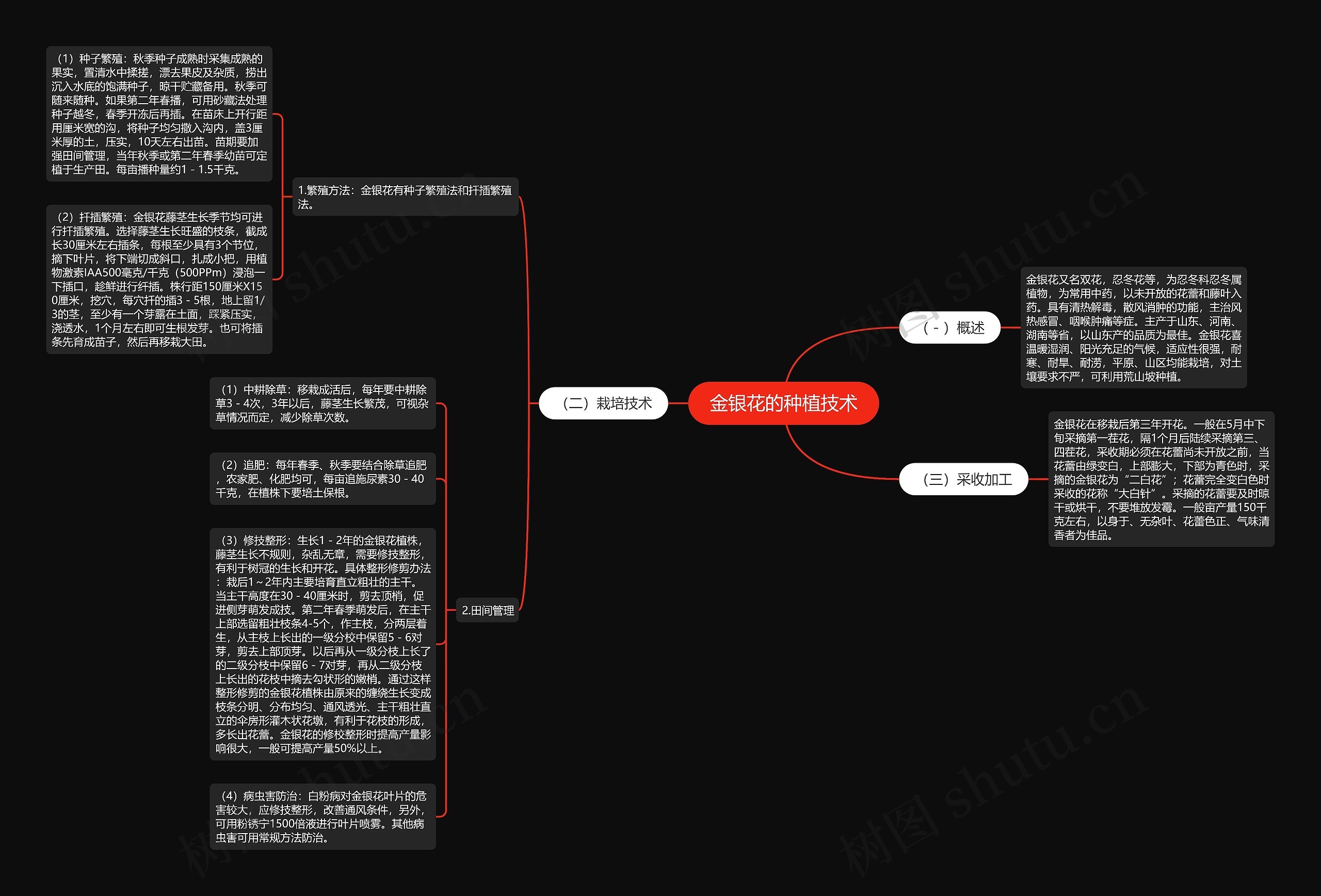 金银花的种植技术思维导图