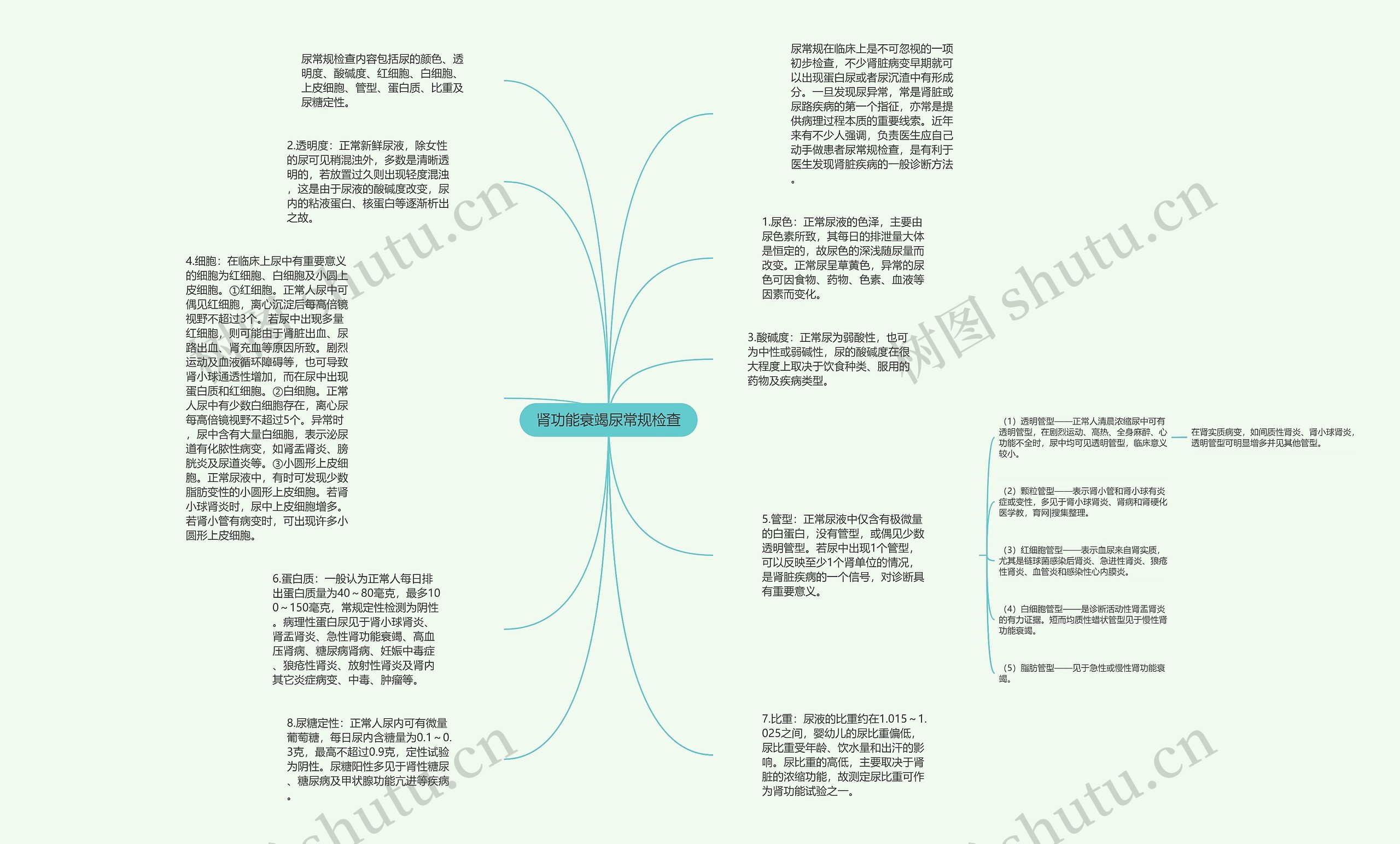 肾功能衰竭尿常规检查思维导图