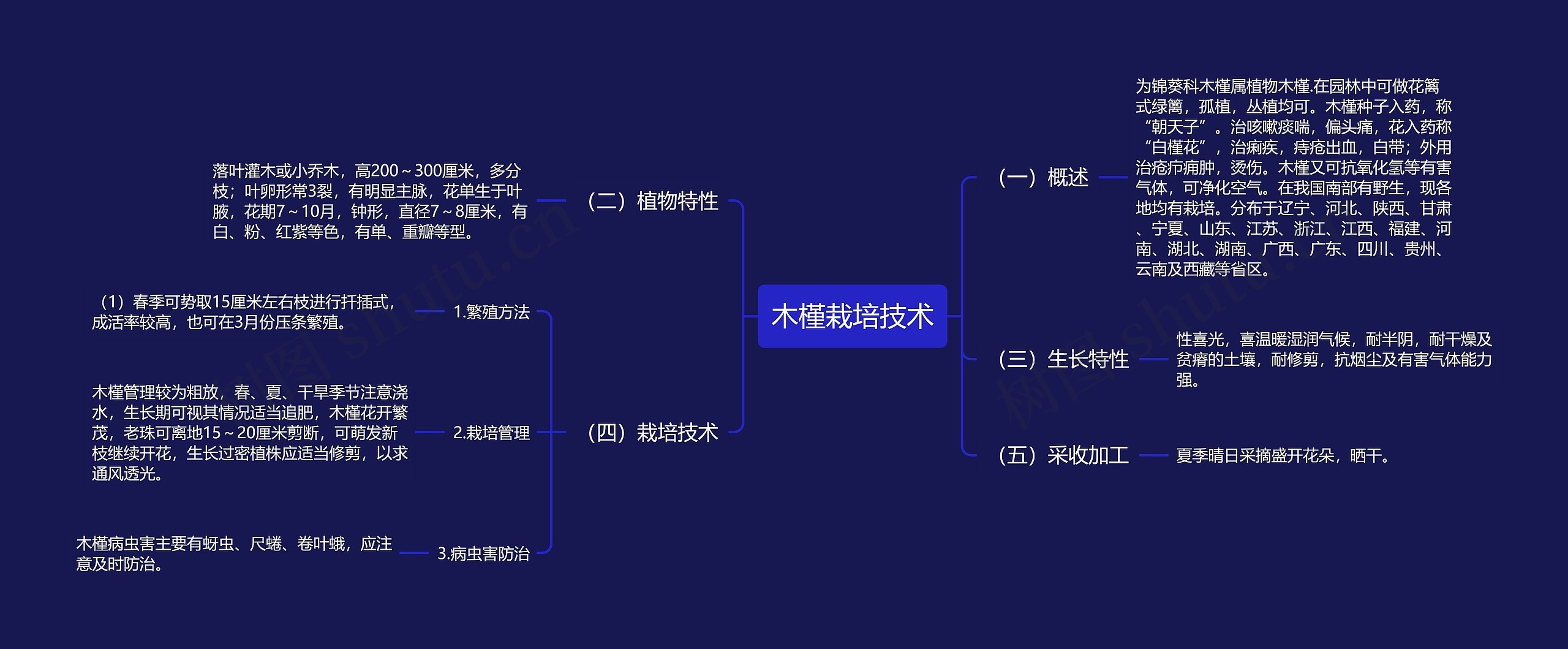 木槿栽培技术思维导图