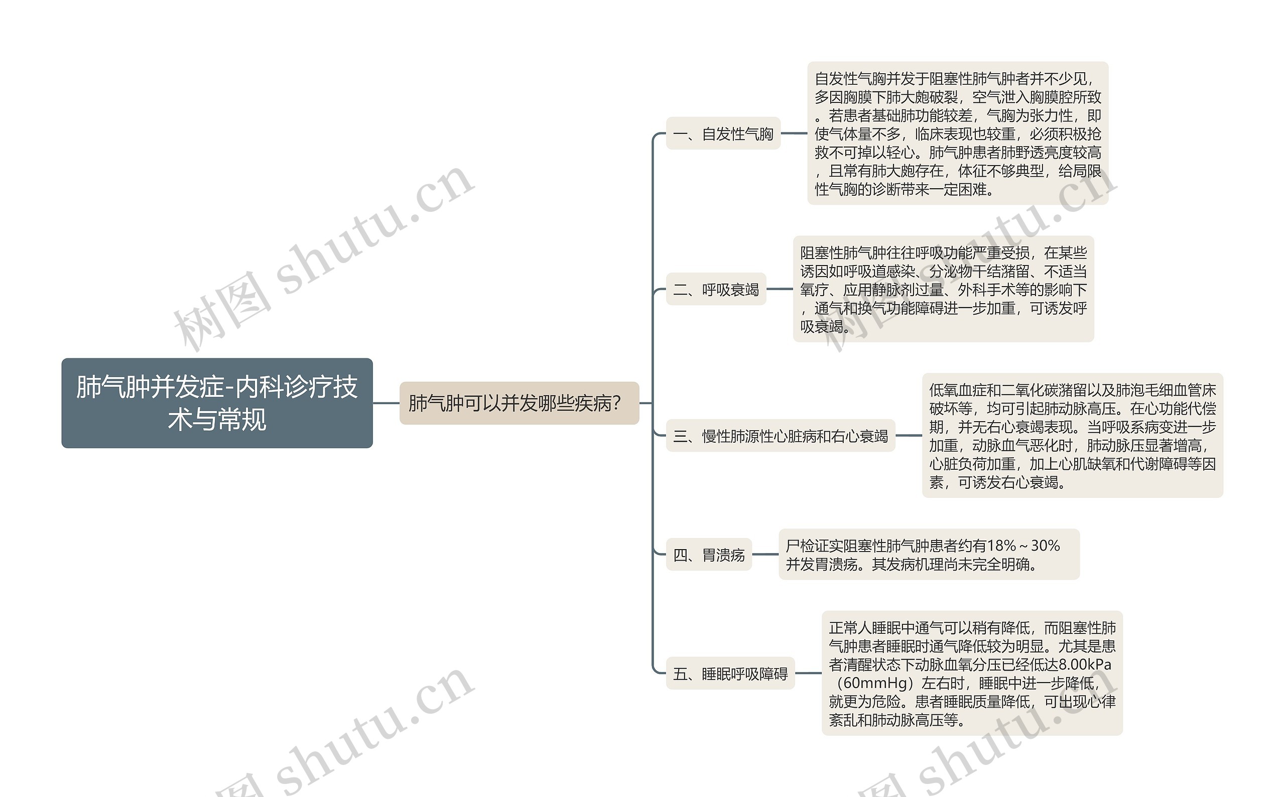 肺气肿并发症-内科诊疗技术与常规