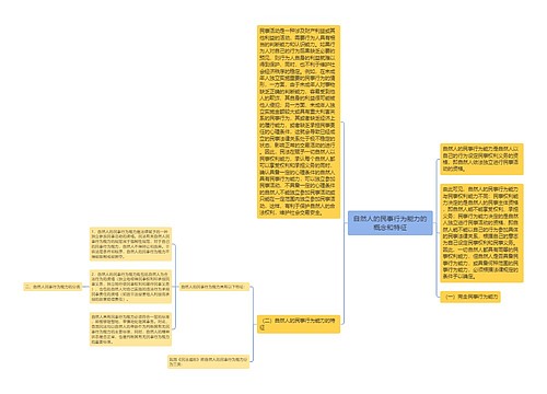 自然人的民事行为能力的概念和特征