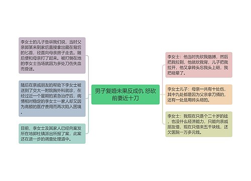 男子复婚未果反成仇 怒砍前妻近十刀