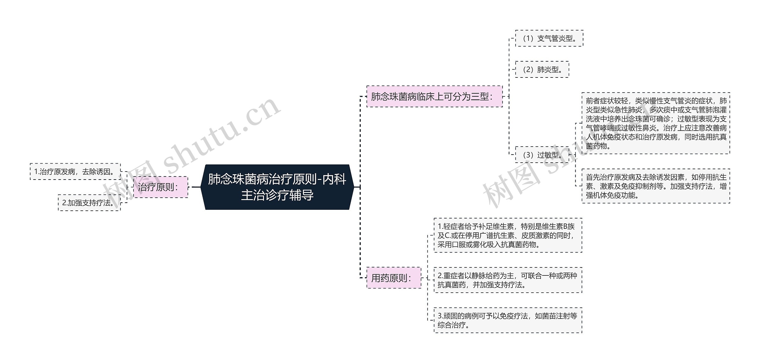 肺念珠菌病治疗原则-内科主治诊疗辅导思维导图