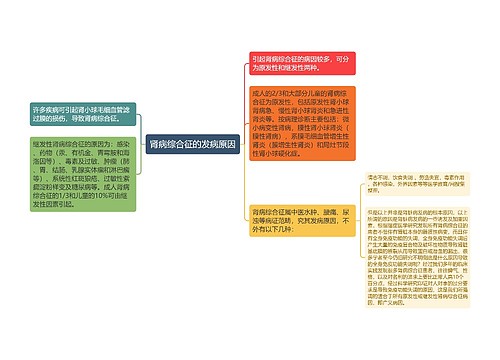 肾病综合征的发病原因