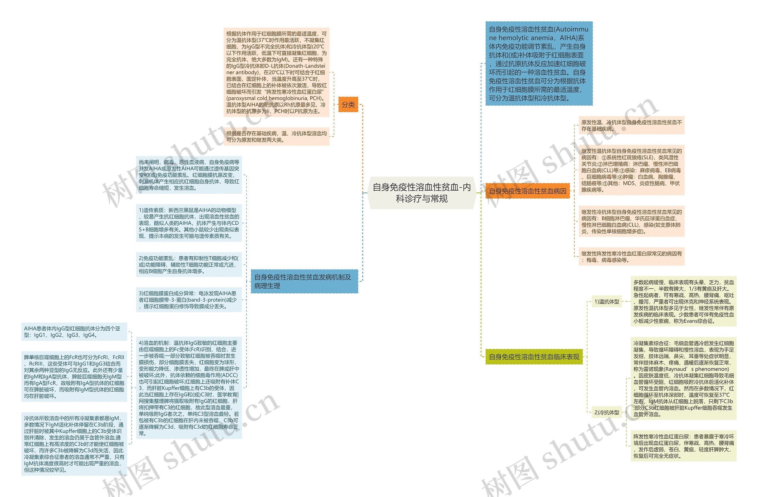 自身免疫性溶血性贫血-内科诊疗与常规思维导图