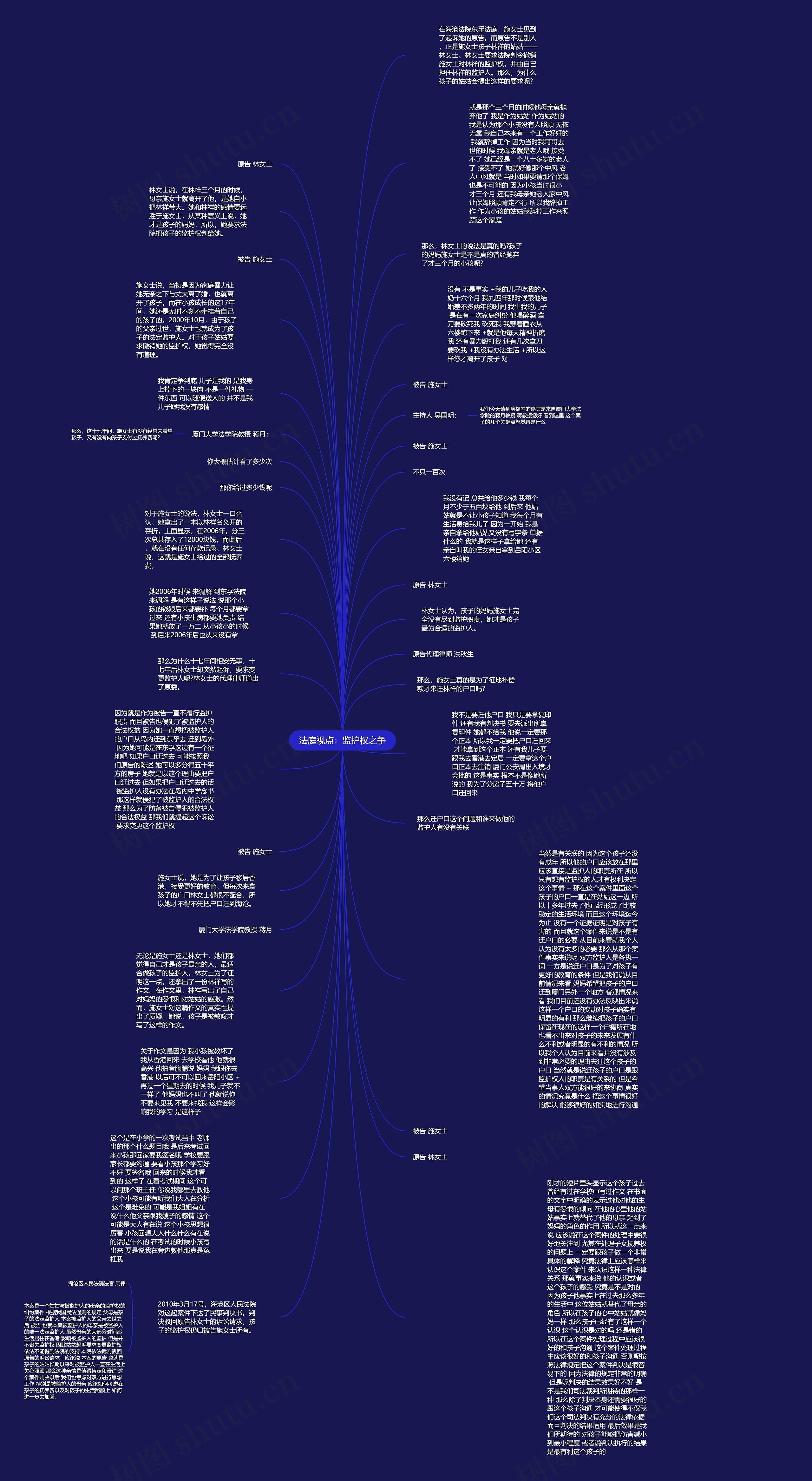 法庭视点：监护权之争思维导图