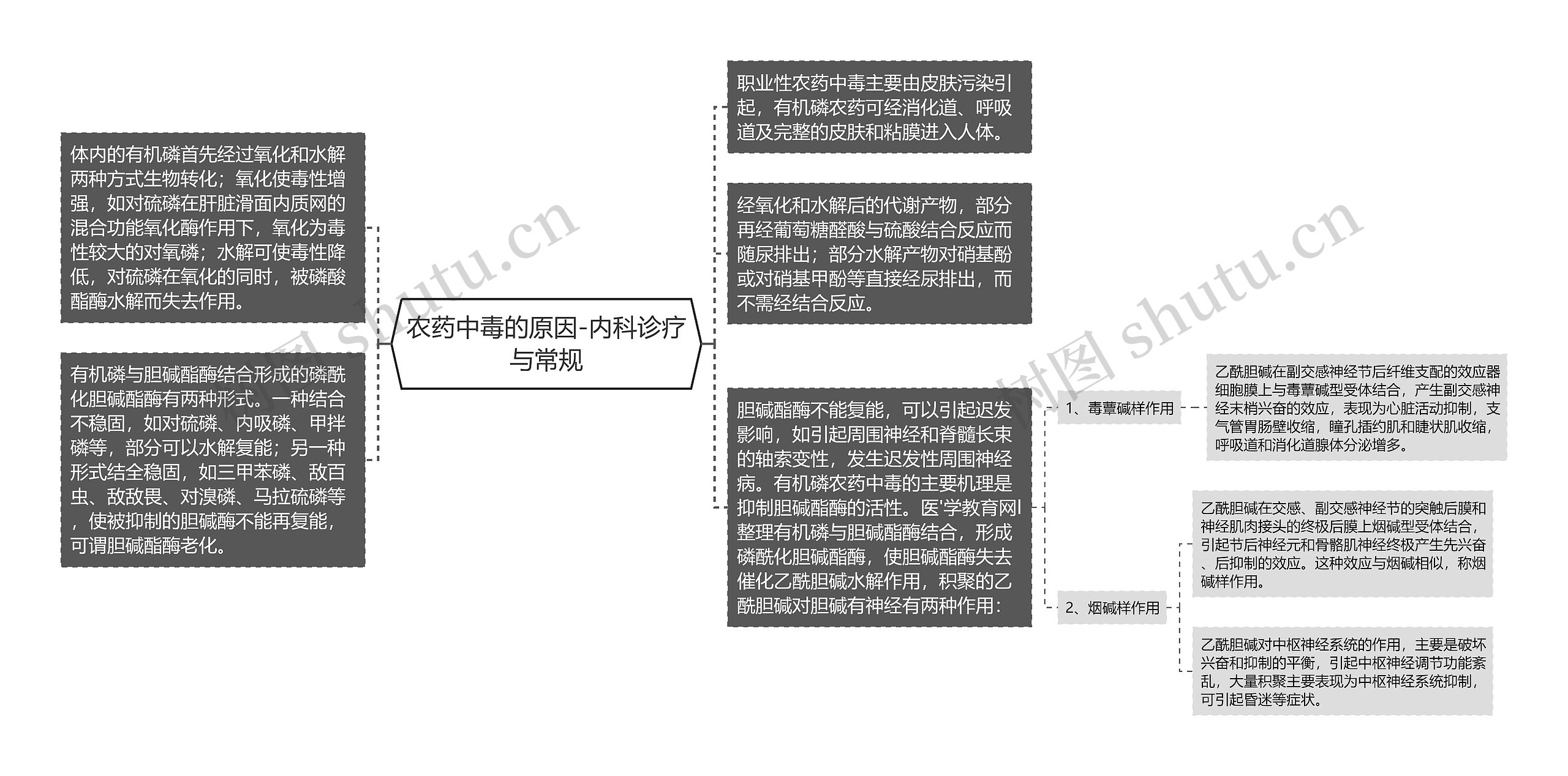 农药中毒的原因-内科诊疗与常规思维导图