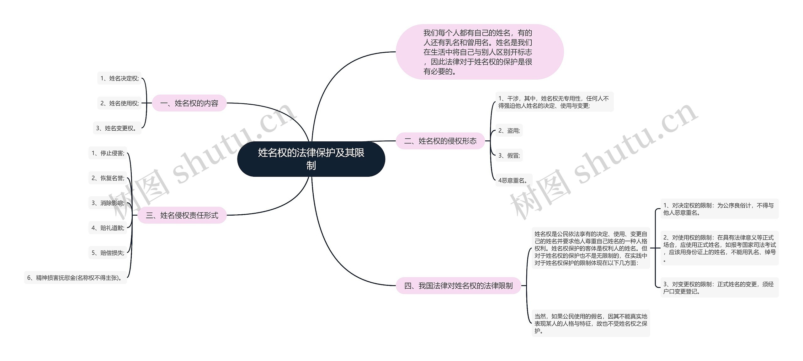 姓名权的法律保护及其限制