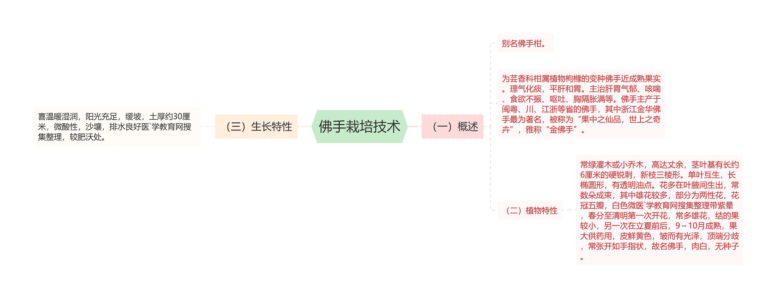 佛手栽培技术思维导图