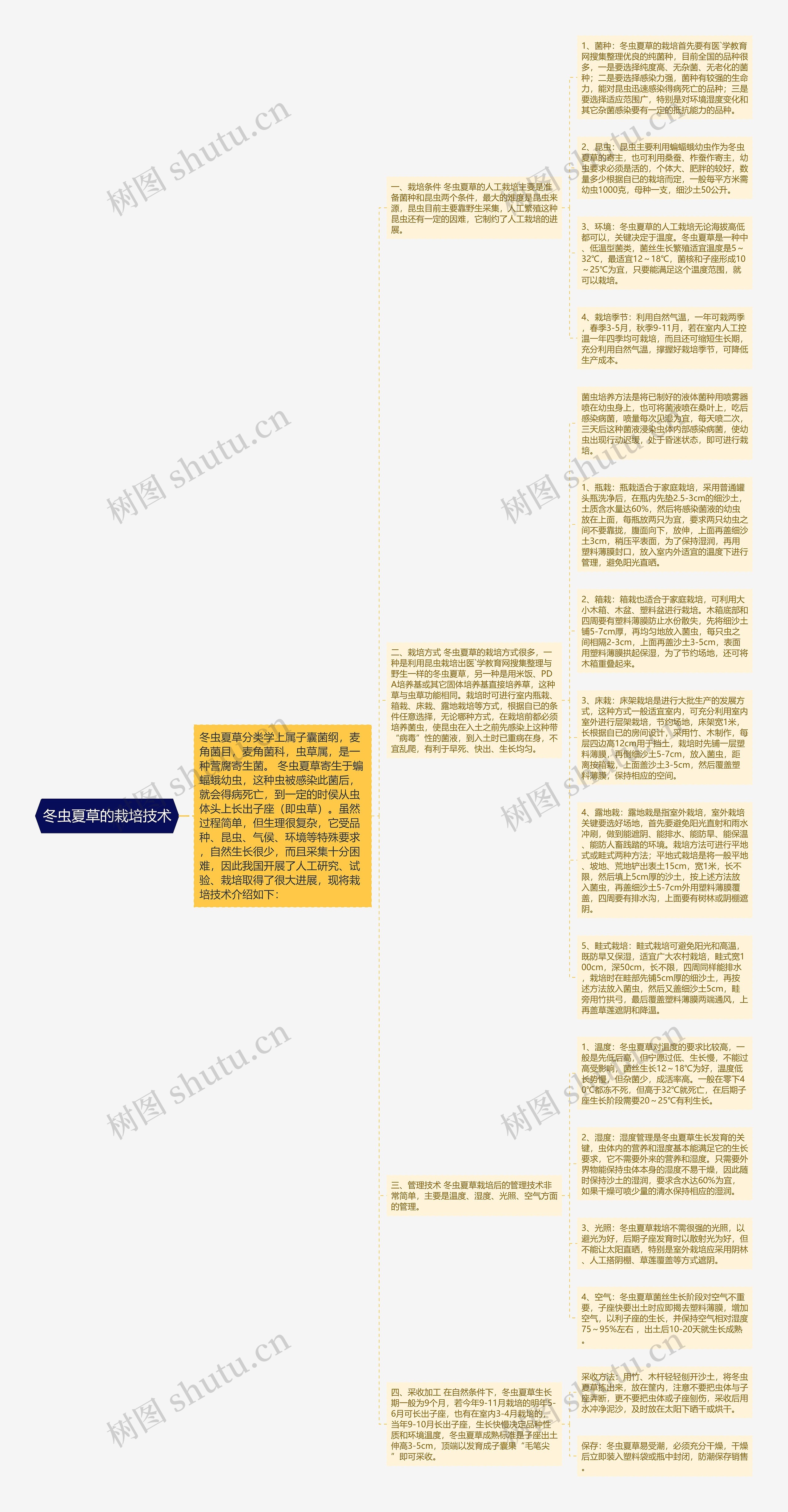 冬虫夏草的栽培技术思维导图