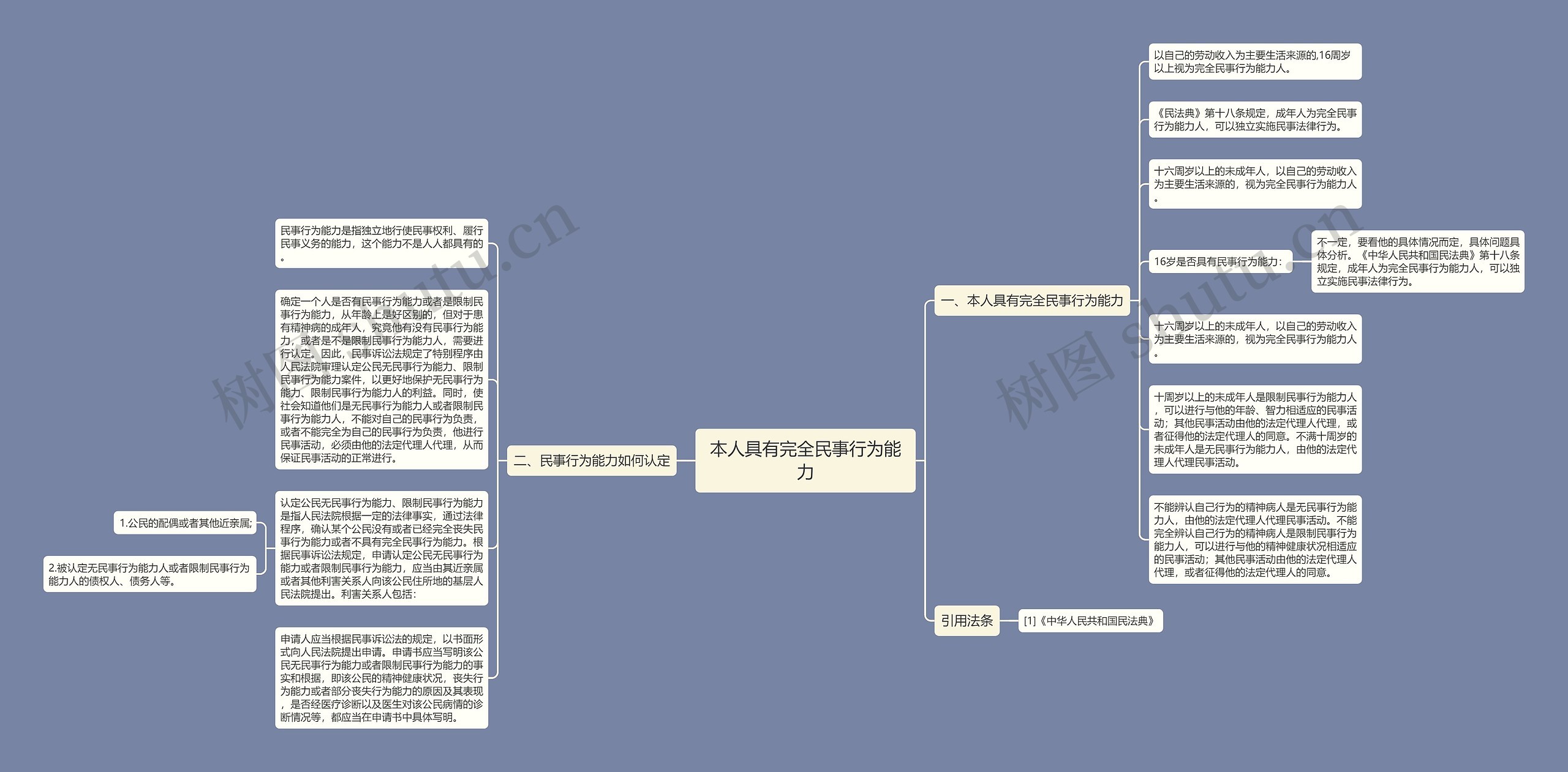 本人具有完全民事行为能力思维导图