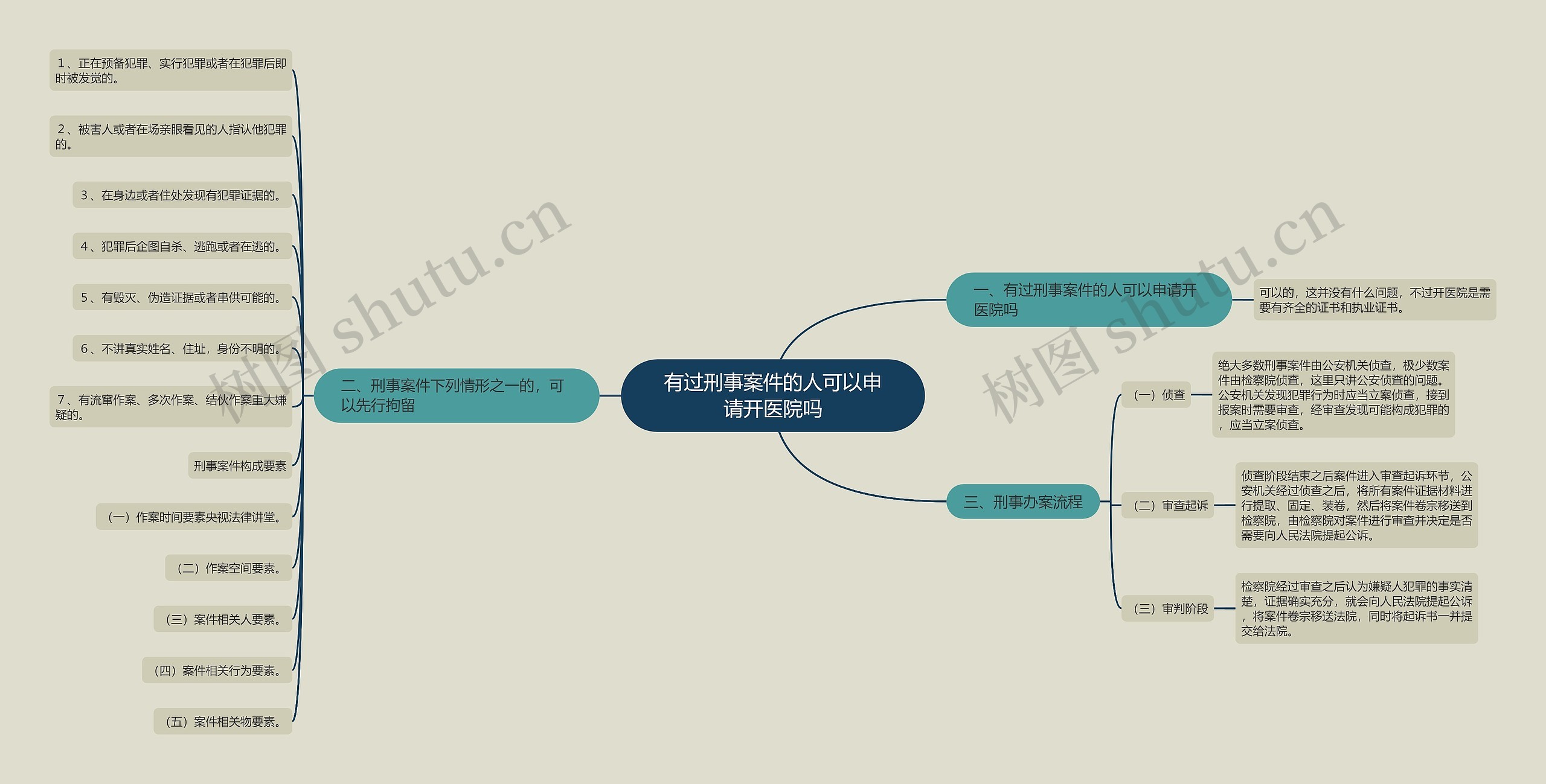 有过刑事案件的人可以申请开医院吗思维导图