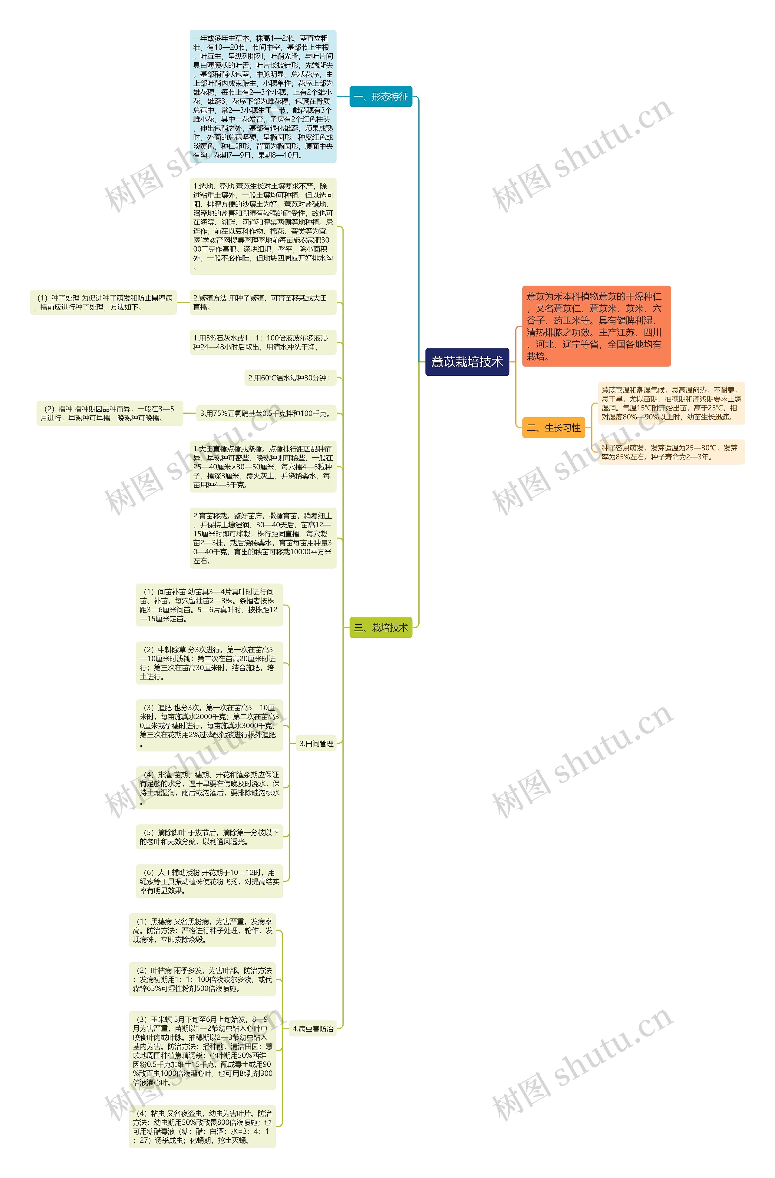 薏苡栽培技术思维导图