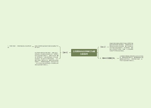 公民具有完全民事行为能力的条件