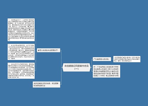 未结婚登记同居案件意见（一）