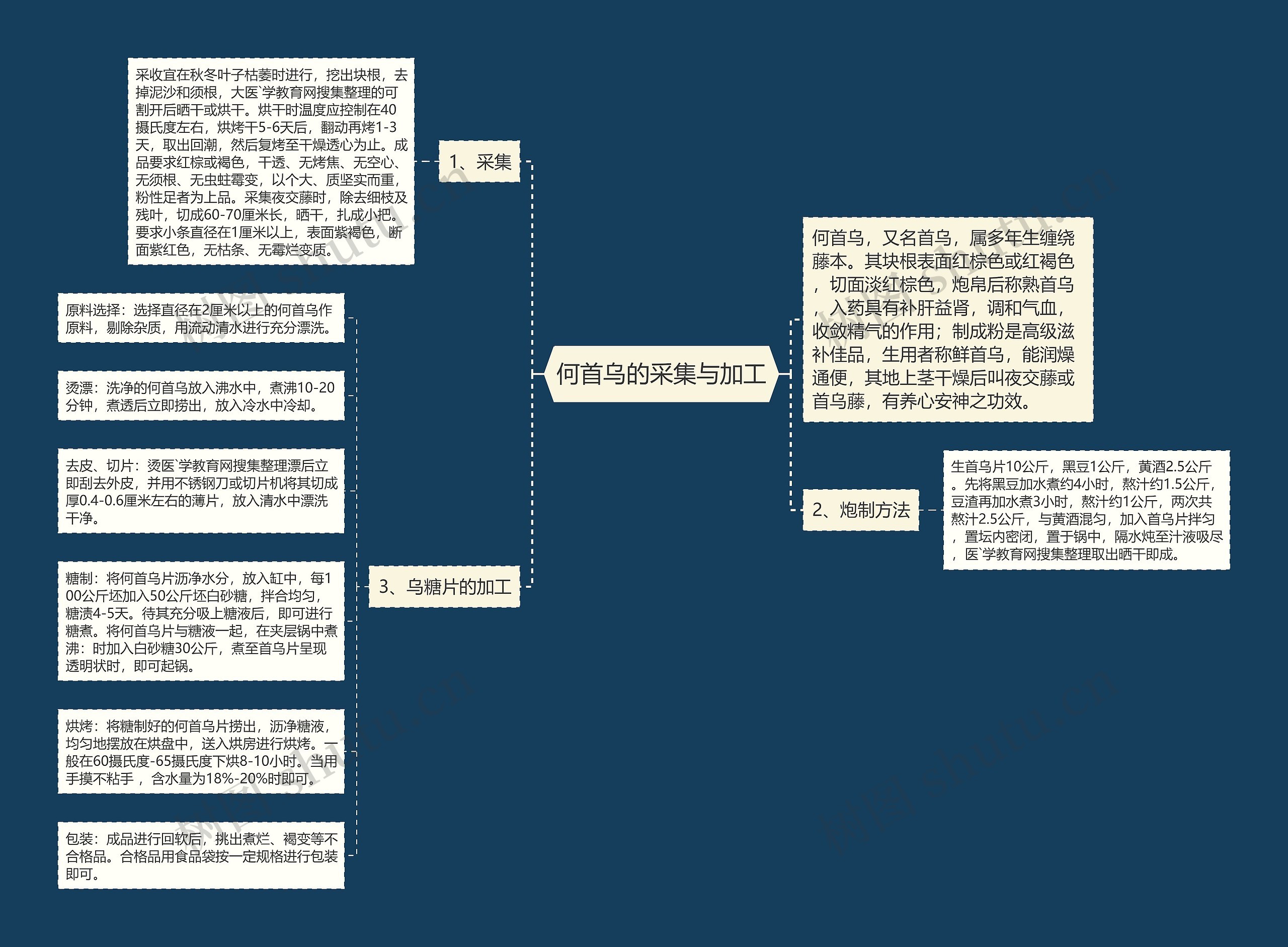 何首乌的采集与加工思维导图