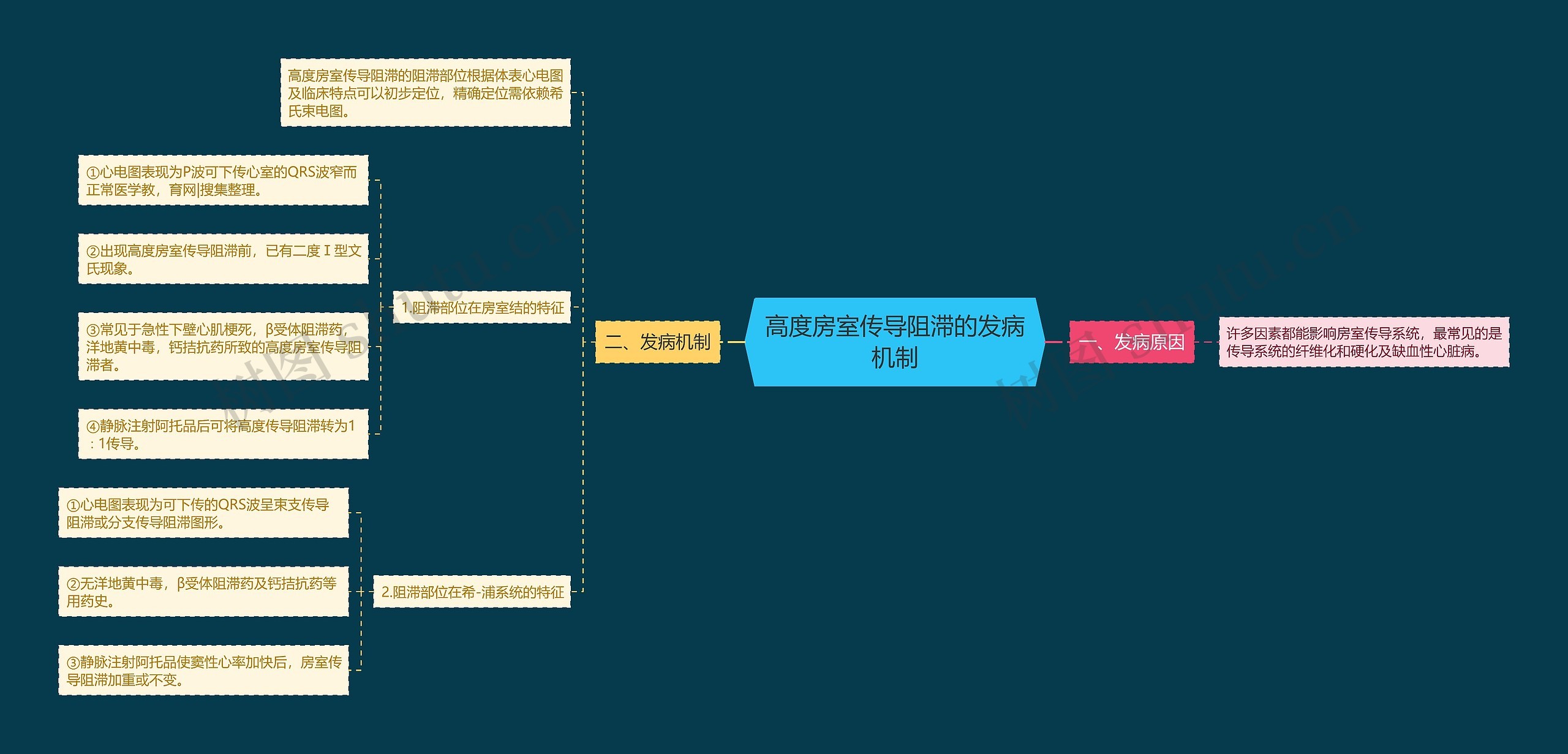 高度房室传导阻滞的发病机制思维导图