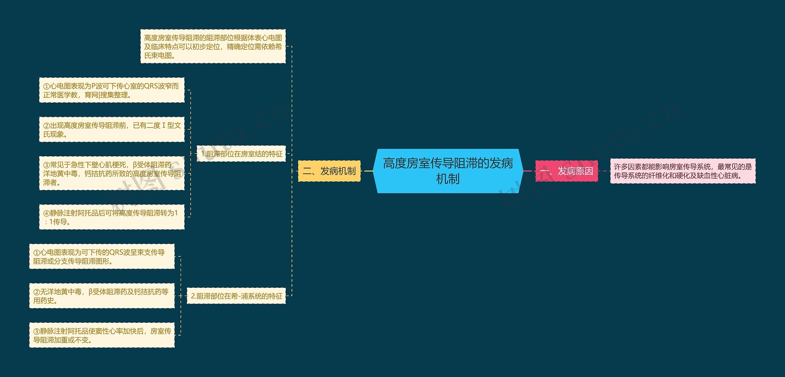 高度房室传导阻滞的发病机制 高度房室传导阻滞的发病机制