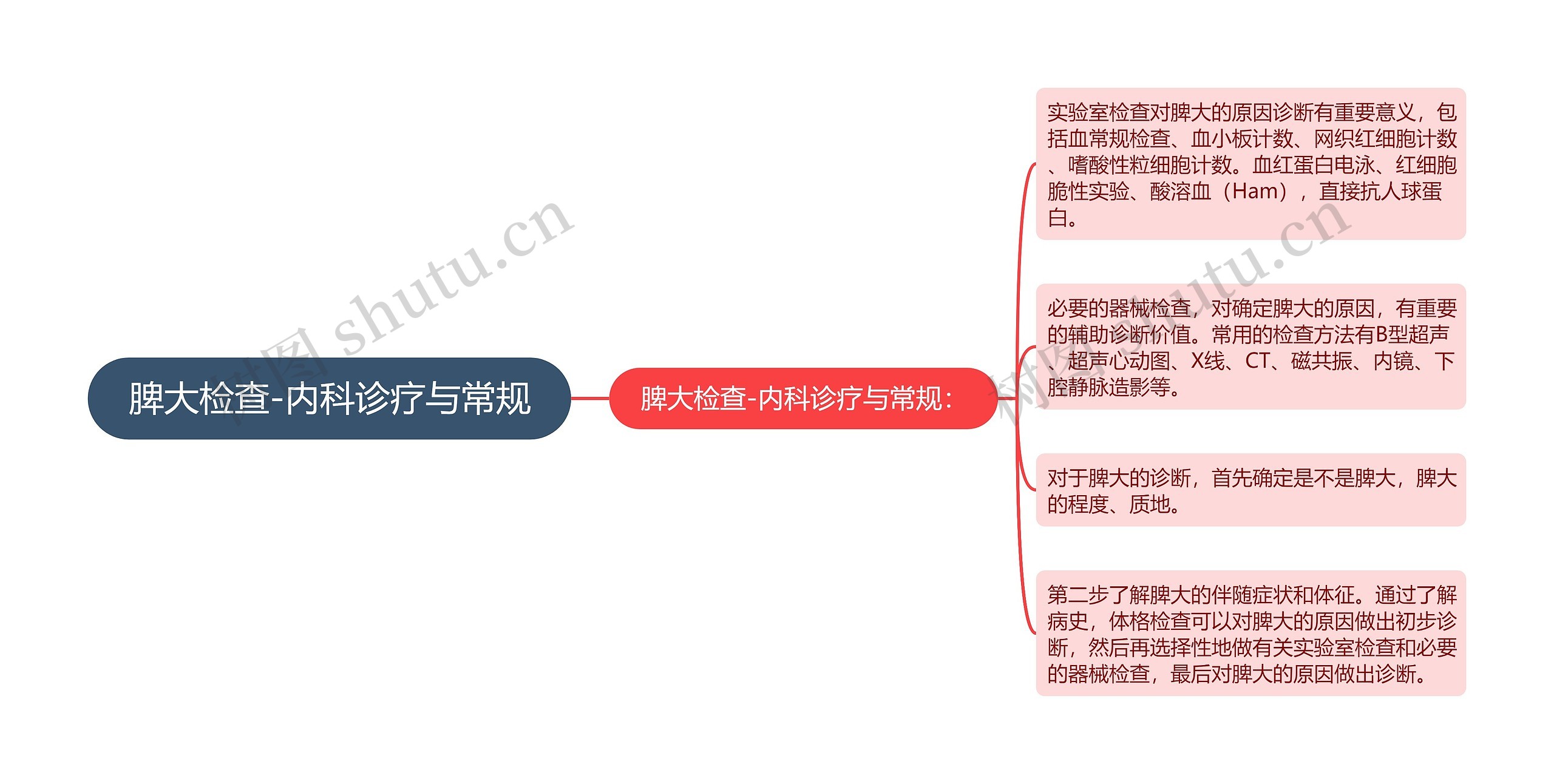 脾大检查-内科诊疗与常规思维导图