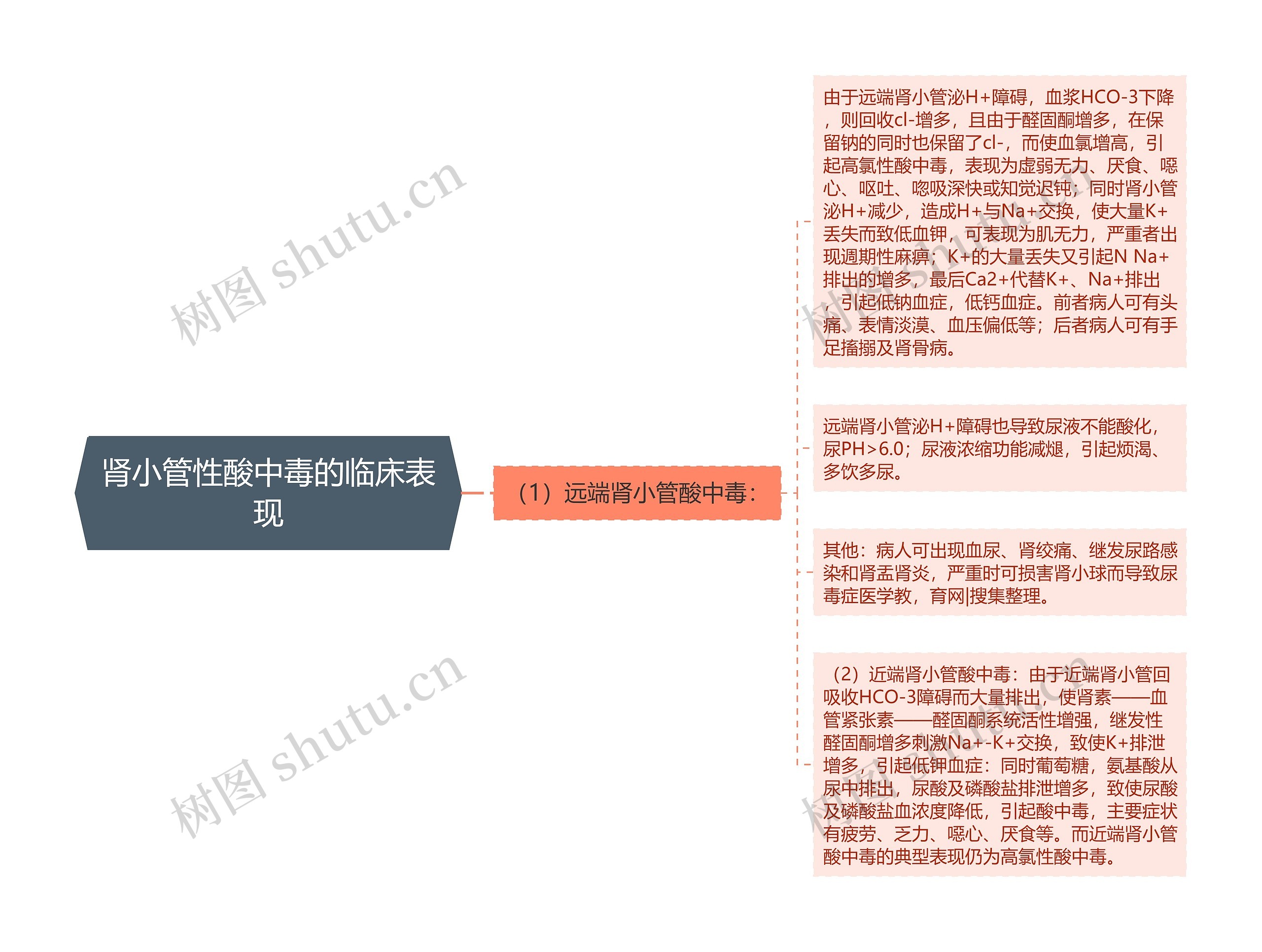 肾小管性酸中毒的临床表现