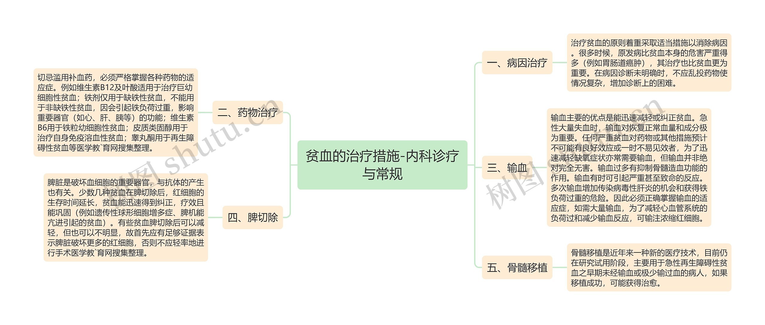 贫血的治疗措施-内科诊疗与常规思维导图