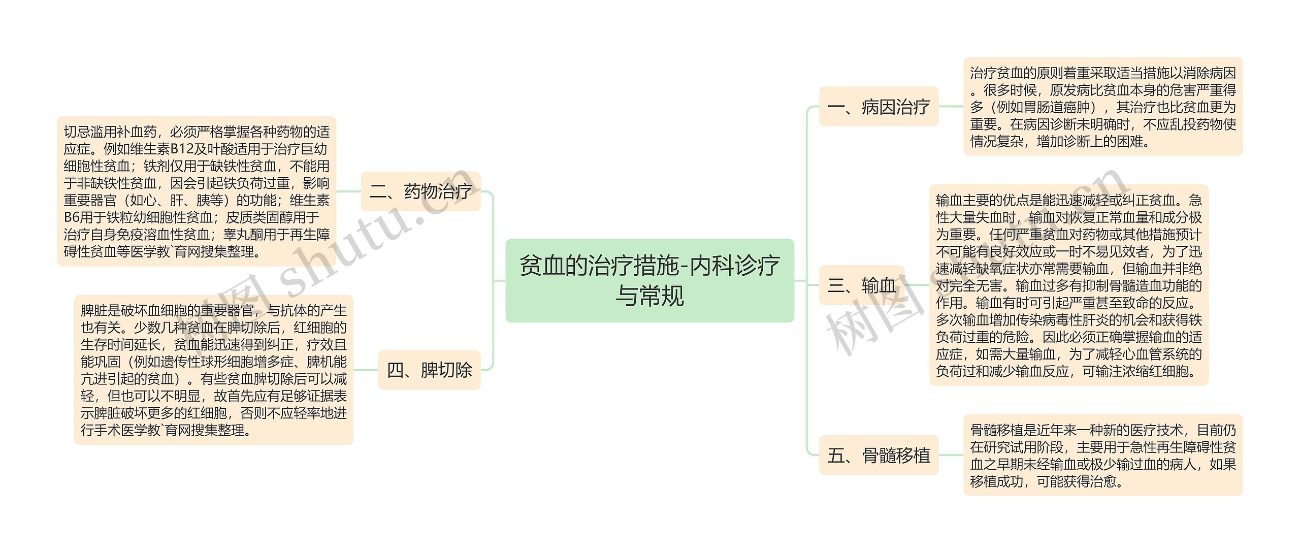 贫血的治疗措施-内科诊疗与常规 贫血的治疗措施-内科诊疗与常规