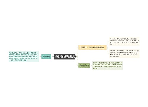 枇杷叶的栽培要点思维导图