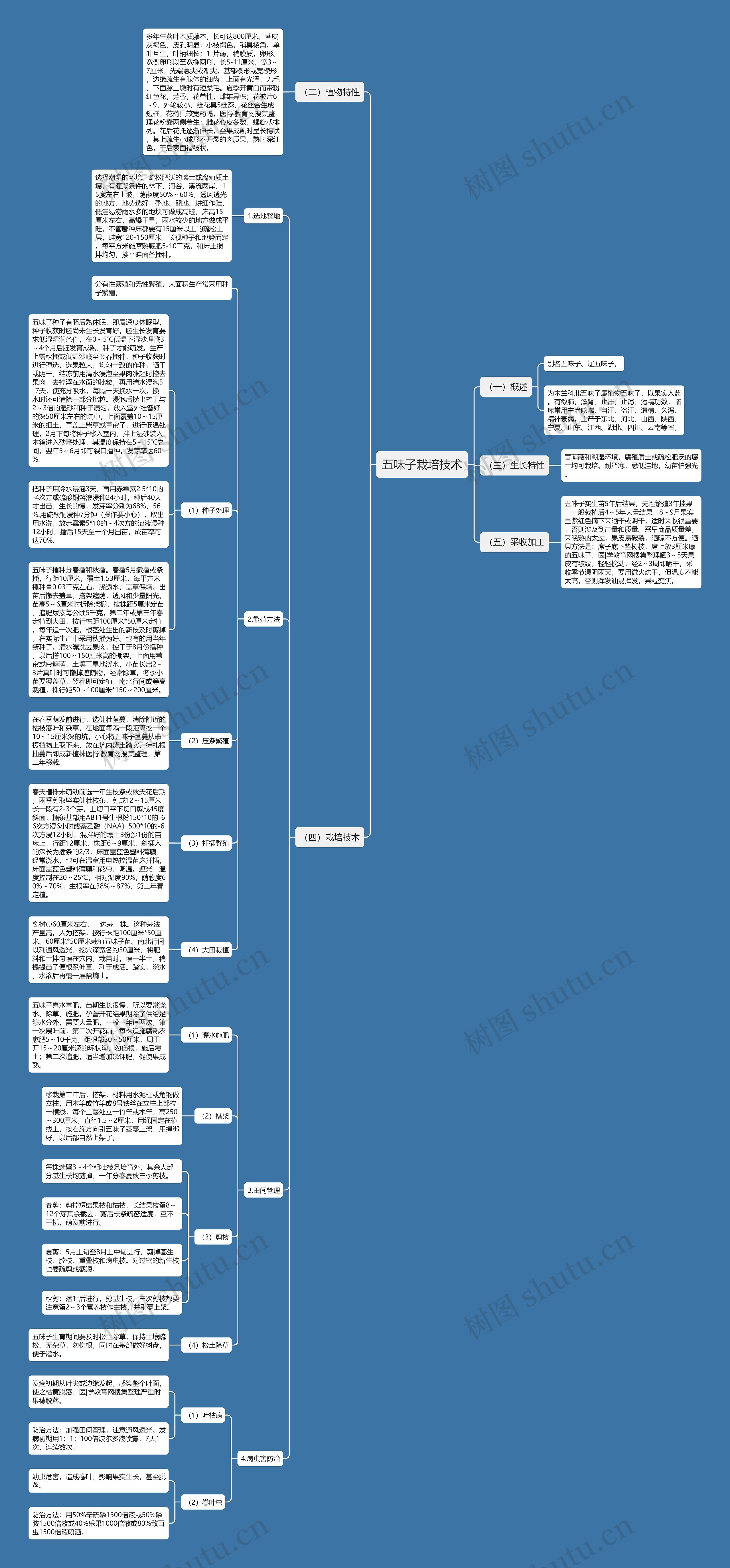 五味子栽培技术思维导图