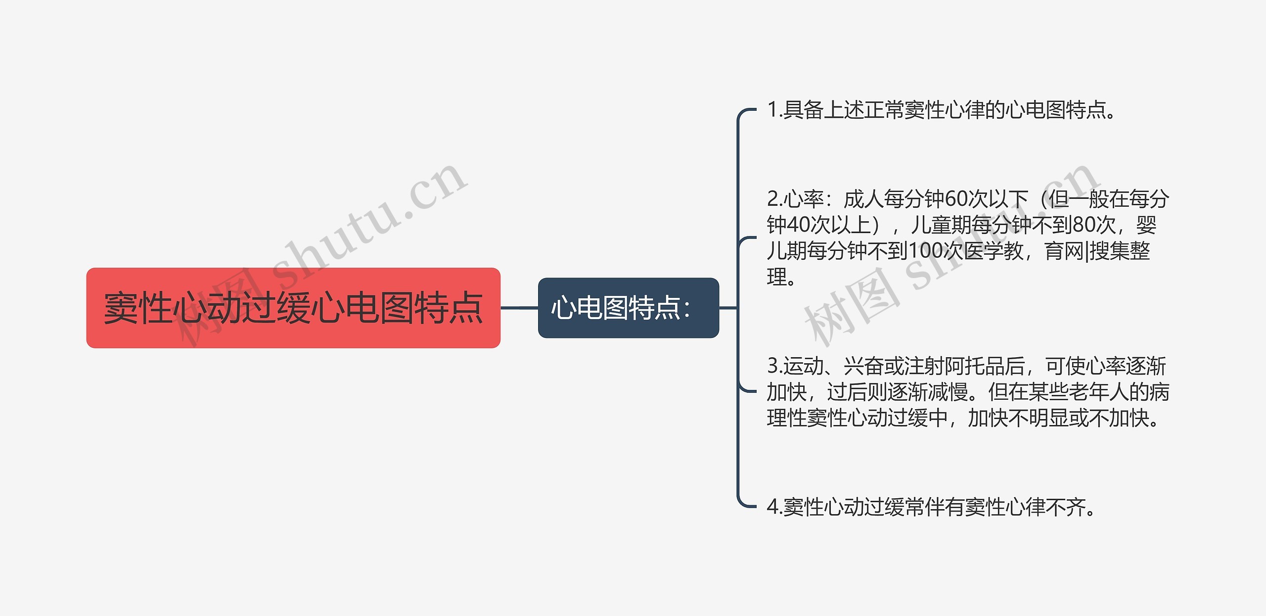 窦性心动过缓心电图特点