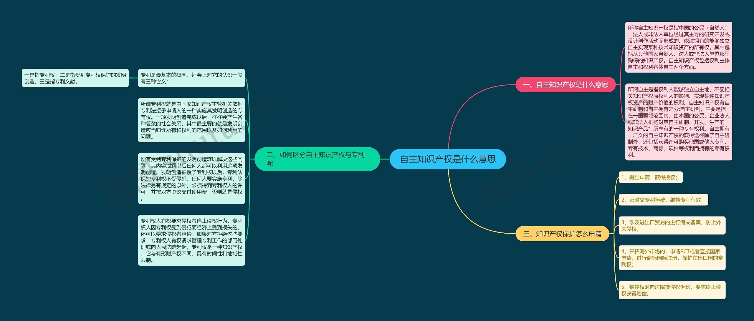 自主知识产权是什么意思思维导图