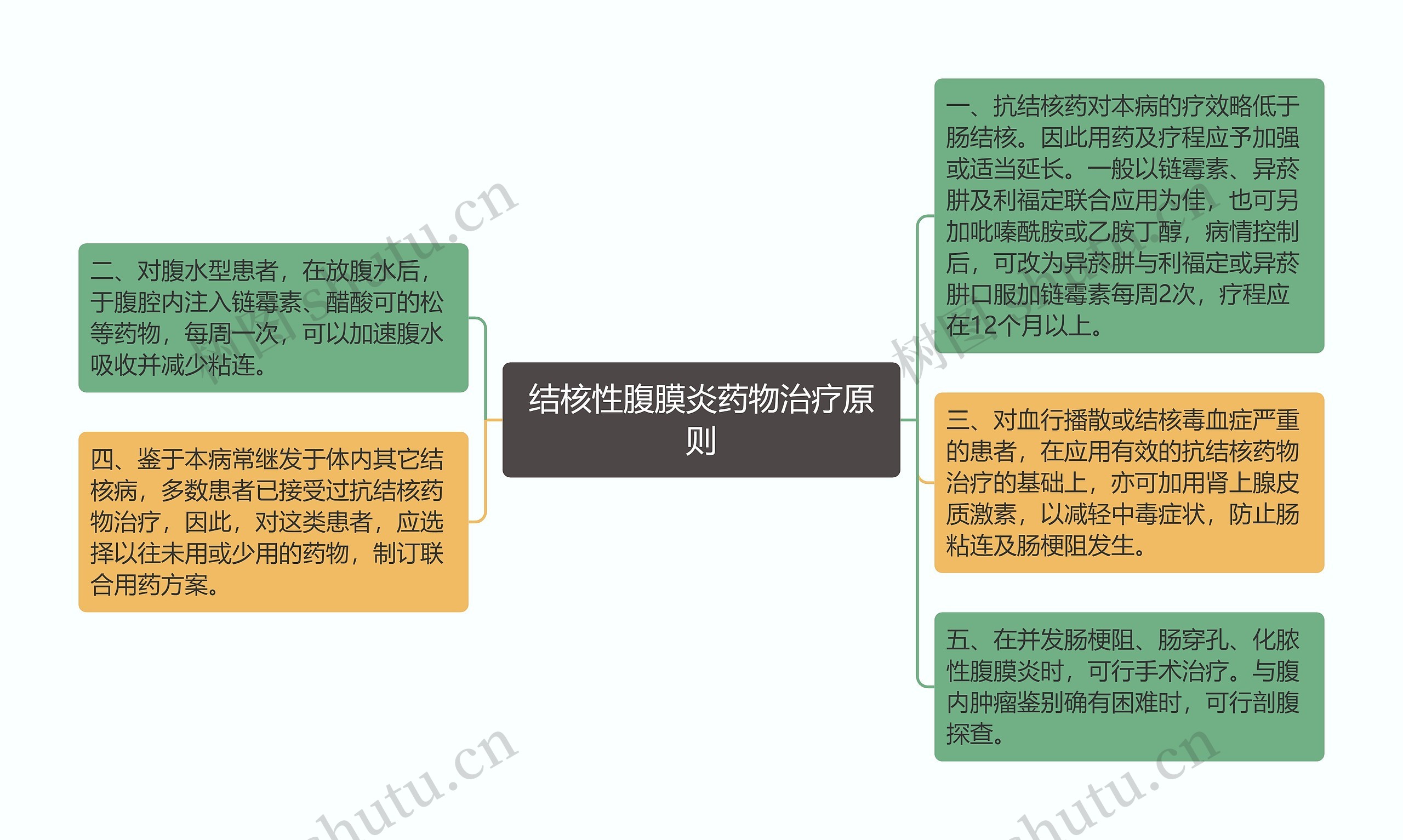 结核性腹膜炎药物治疗原则思维导图