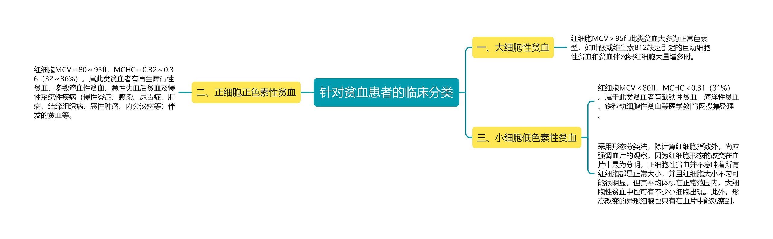 针对贫血患者的临床分类