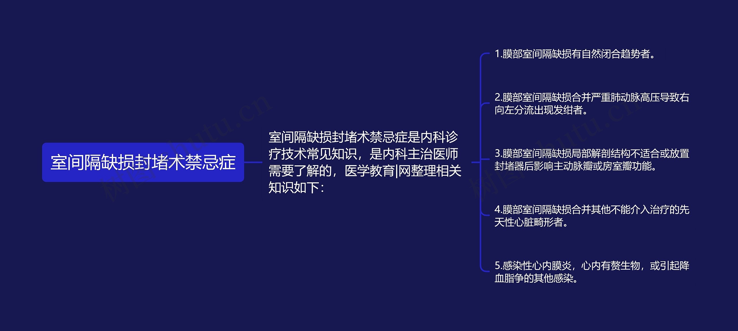 室间隔缺损封堵术禁忌症思维导图