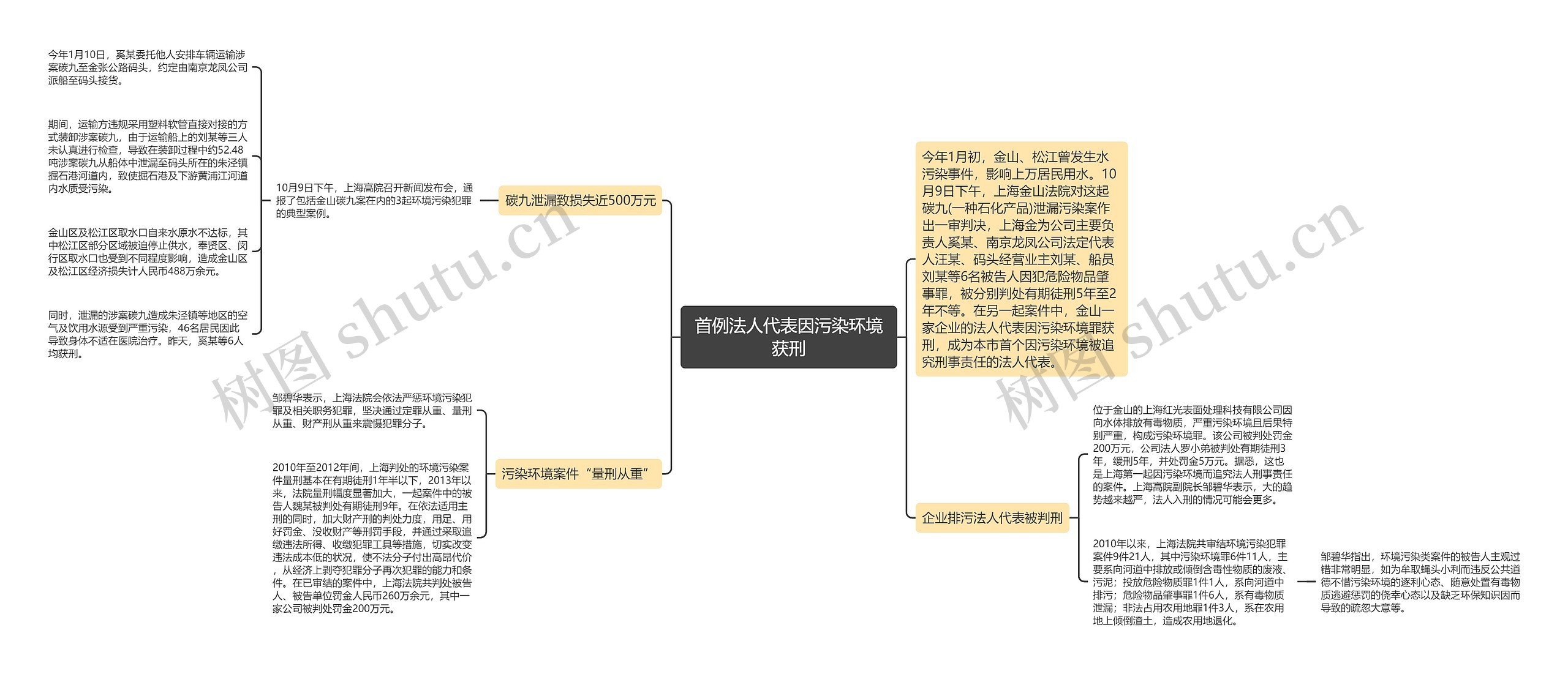 首例法人代表因污染环境获刑