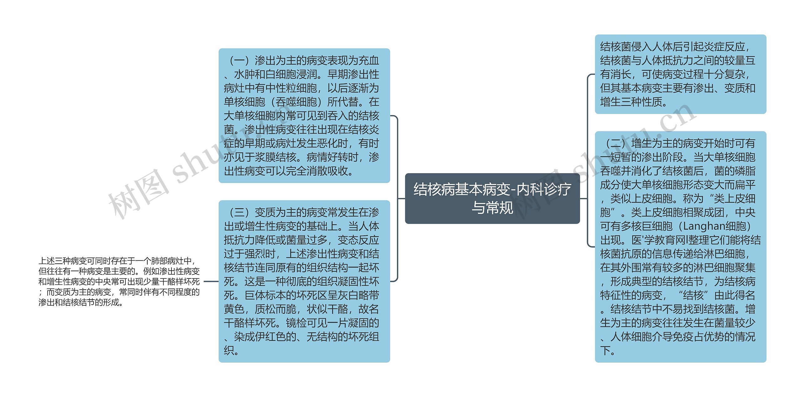 结核病基本病变-内科诊疗与常规思维导图