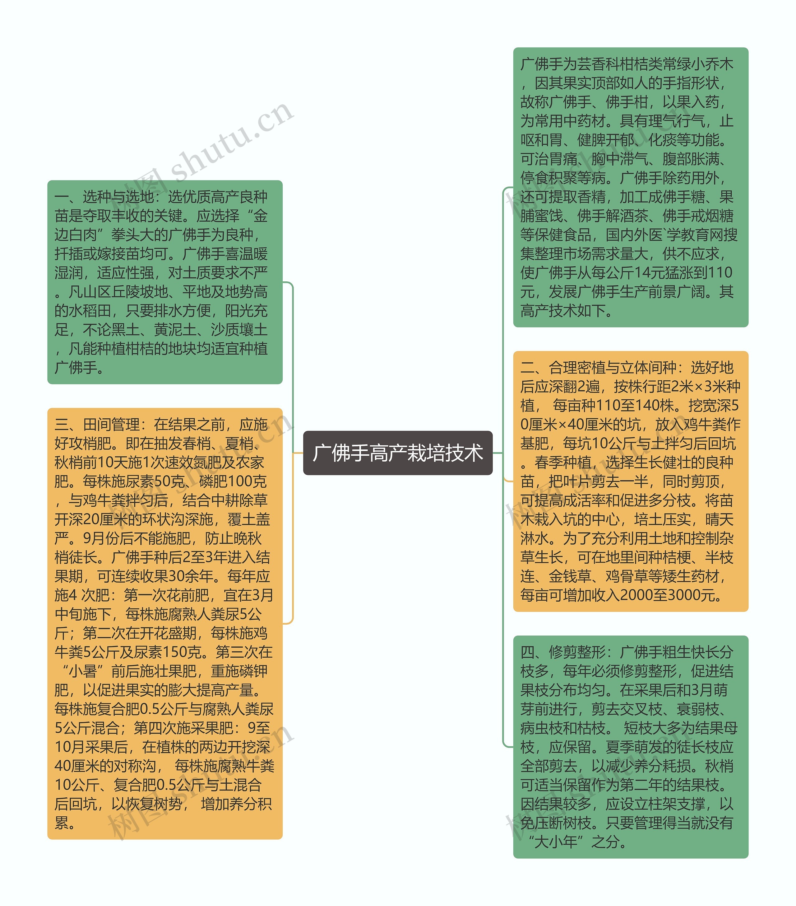 广佛手高产栽培技术思维导图