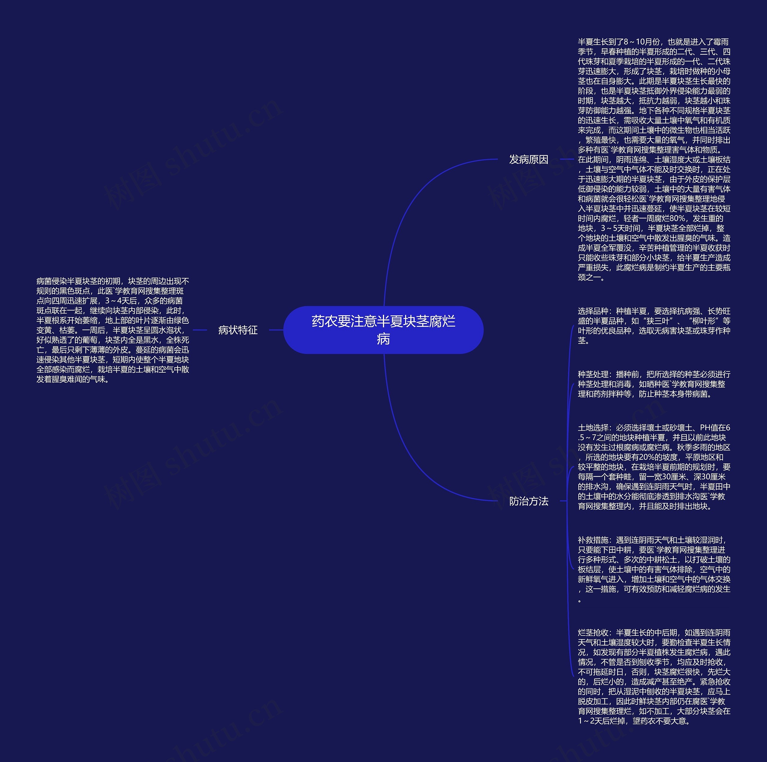 药农要注意半夏块茎腐烂病思维导图