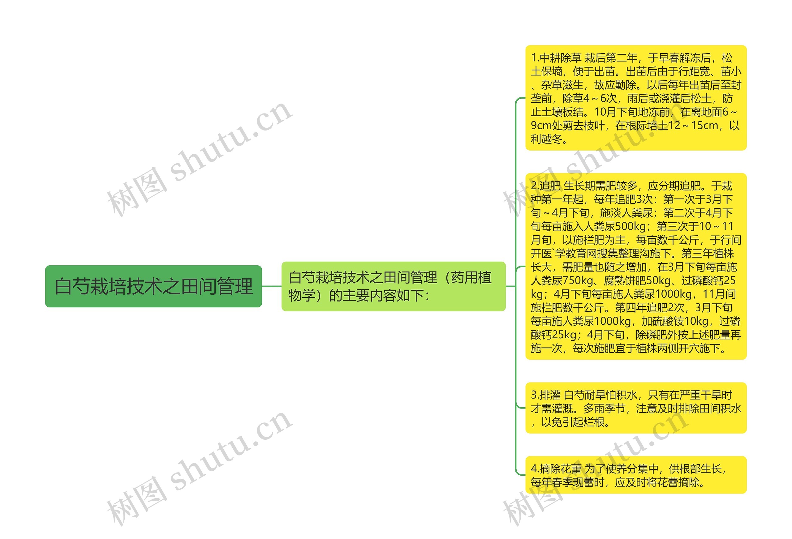 白芍栽培技术之田间管理思维导图