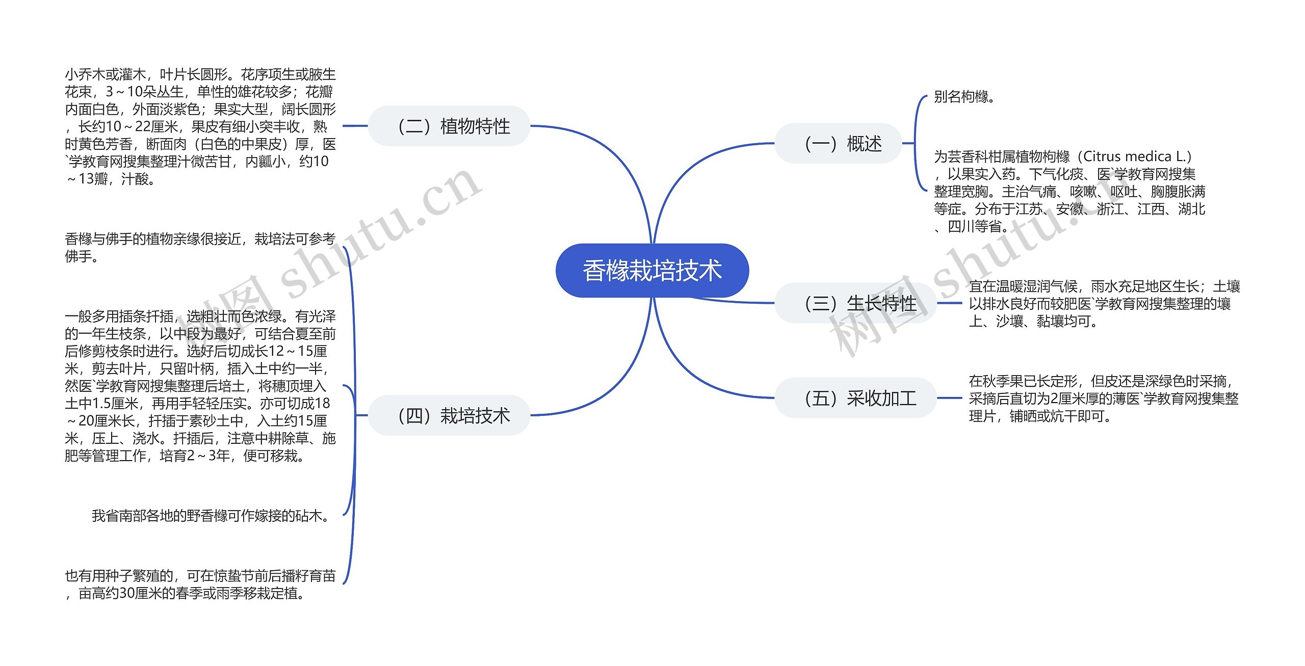 香橼栽培技术思维导图