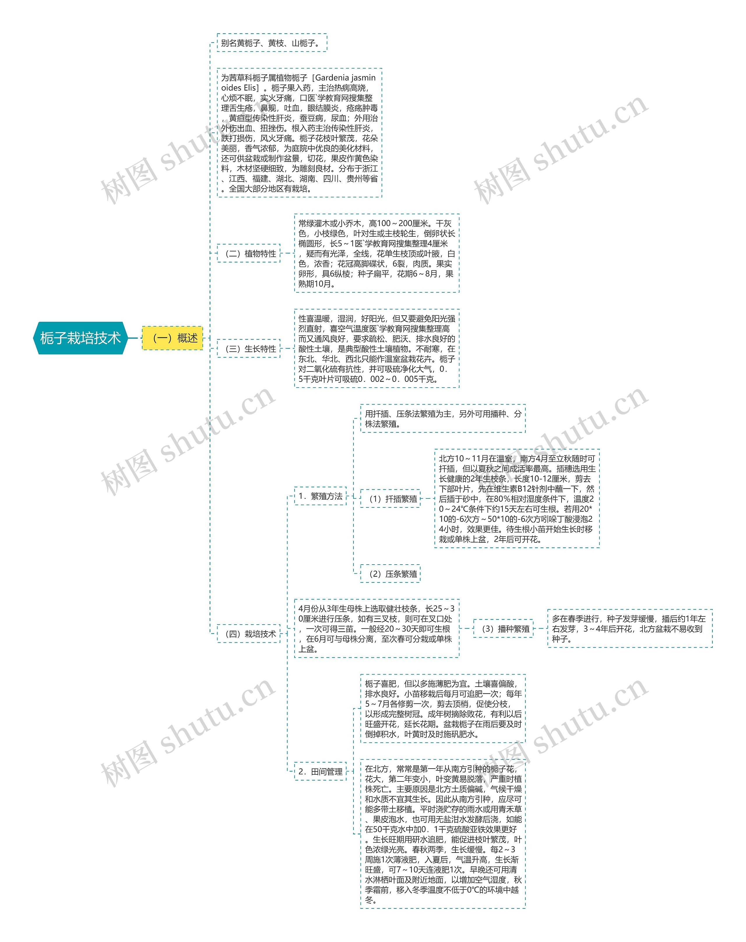 栀子栽培技术 栀子栽培技术
