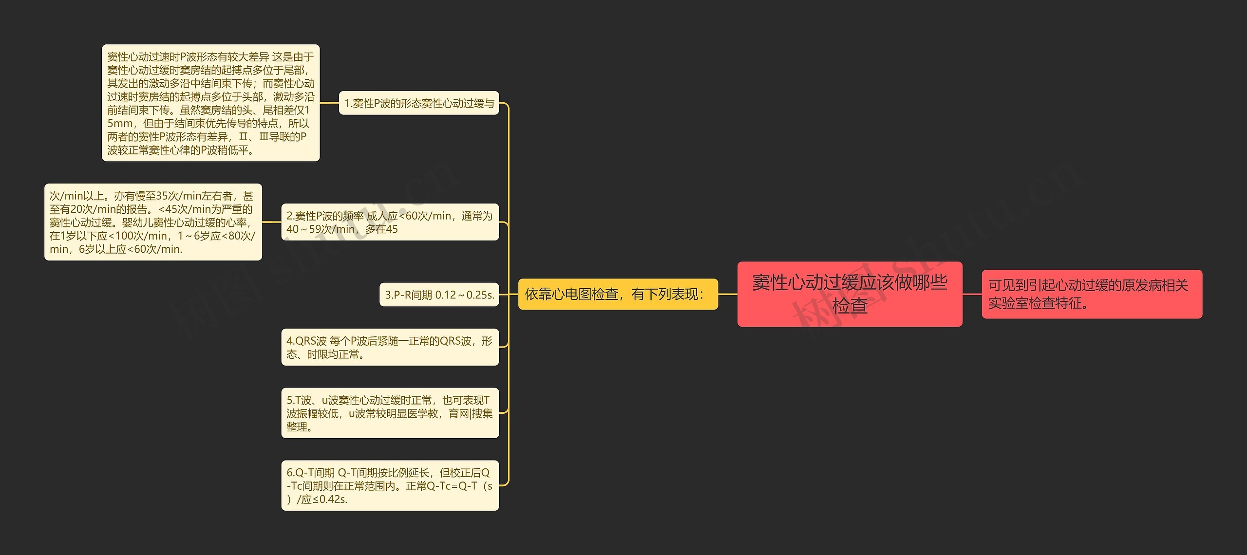 窦性心动过缓应该做哪些检查思维导图